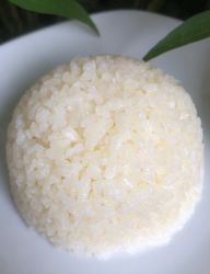 Rundkornreis-Camolino-von-Habba-Habba